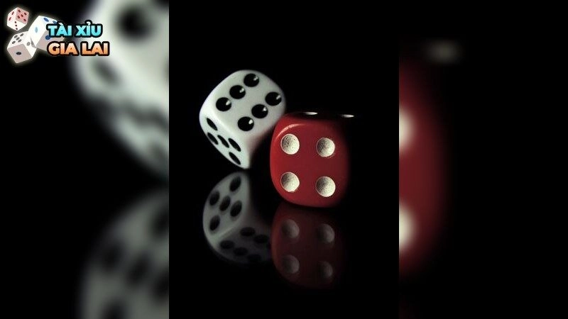 Song Tử chơi tài xỉu cần lưu ý điều gì?