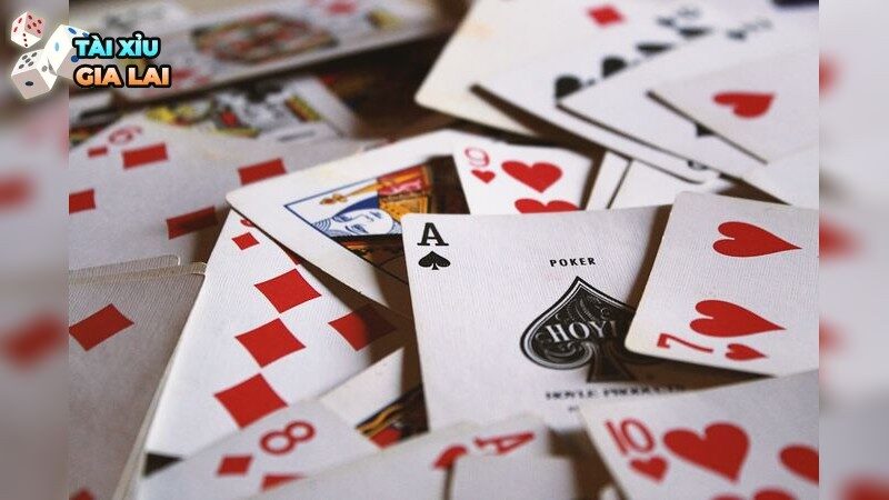 Thiên Bình và phong thủy: Lựa chọn vị trí