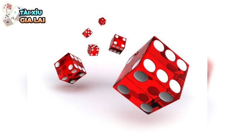 Top 3 con vật nên nuôi trong nhà tăng vượng khí đánh tài xỉu bao hên